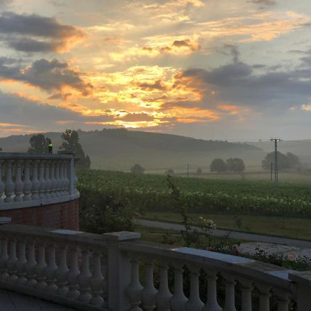 Sappusztai Vendeghaz Hotel Damak Buitenkant foto